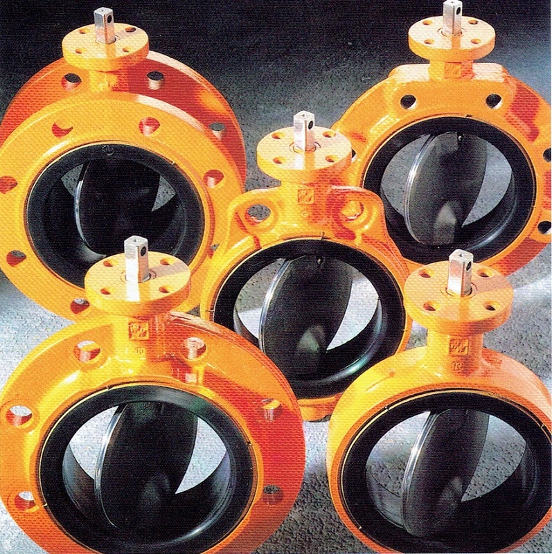 📌พาไปชม Wouter Witzel Euro Valve